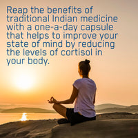 Applied Nutrition Ashwagandha KSM-66 - Premium Ashwagandha Herbal Supplement for Energy, Anxiety, Stress, Made in The UK (60 Capsules)