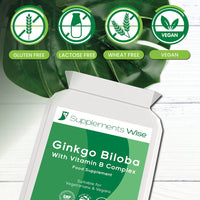 Supplements Wise Ginkgo Biloba Capsules 90 x 2000mg - Dizziness and Vertigo Treatment - Focus Tablets, Concentration Pills for Brain, Memory - Blood Circulation -Ginkgo Biloba Herbal Supplements with Vitamin B Complex