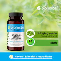 BIOHERBA Stinging Nettle Leaf Extract 250 mg – 100 Capsules | Traditional Herbal Supplement for Water Balance and Daily Wellbeing