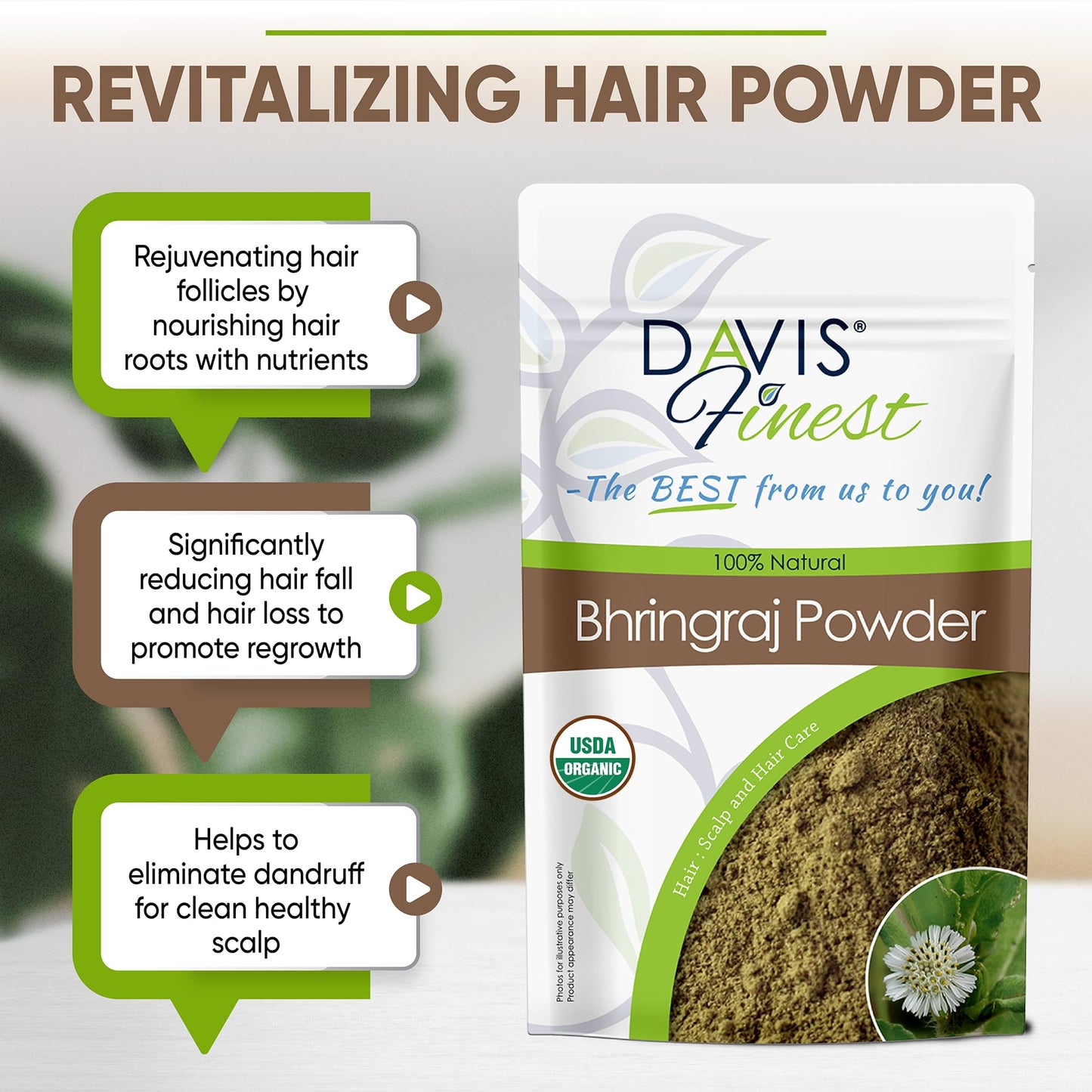 Davis Finest Organic Bhringraj Powder 100g, Healthy Scalp, Hair Growth, Pure & Natural Essential Ayurvedic Hair Mask for Hair Loss, Hair Fall, Split Ends, Damaged Thinning Hair