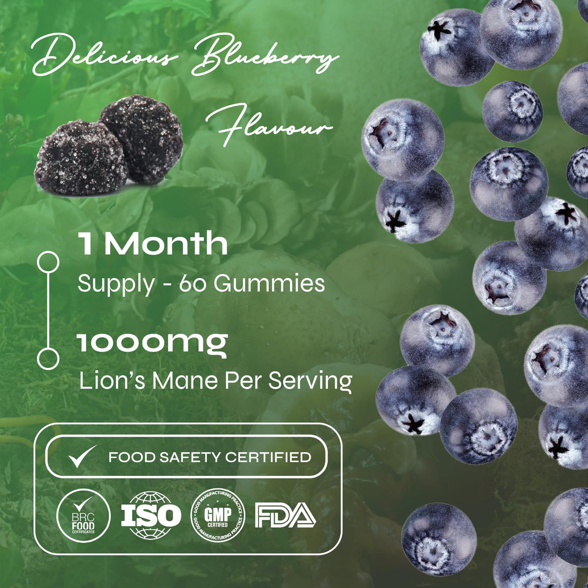 Known 1000mg Lions Mane Mushroom Gummies – Blueberry Flavour – Chewable Vegan Nootropic Gummy Supplement – 1 Month Supply – for Men & Women