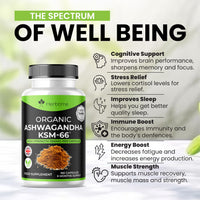 Herbtime Ashwagandha KSM 66, 180 Vegan Capsules 1500mg (6 Months Supply) High Strength Ashwagandha Extract 1500mg Per Capsule UK Made, Boosted with 5% Withanolides