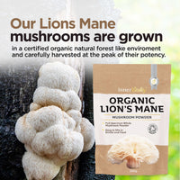 Organic Lions Mane Mushroom Powder 200g - High Strength Full Spectrum Fruiting Body Mushroom Supplement to Support Brain & Mental Performance by Inner Vitality (Large)