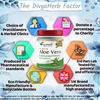 Aushadh Aloe Vera Powder