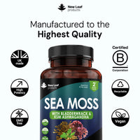 NEW LEAF PRODUCTS Sea Moss Complex - Pure Irish Sea Moss Capsules with Bladderwrack & KSM Ashwagandha - High Strength Seamoss Capsule - 120 Fill Vegan Irish Seamoss Capsules Made in The UK By New Leaf