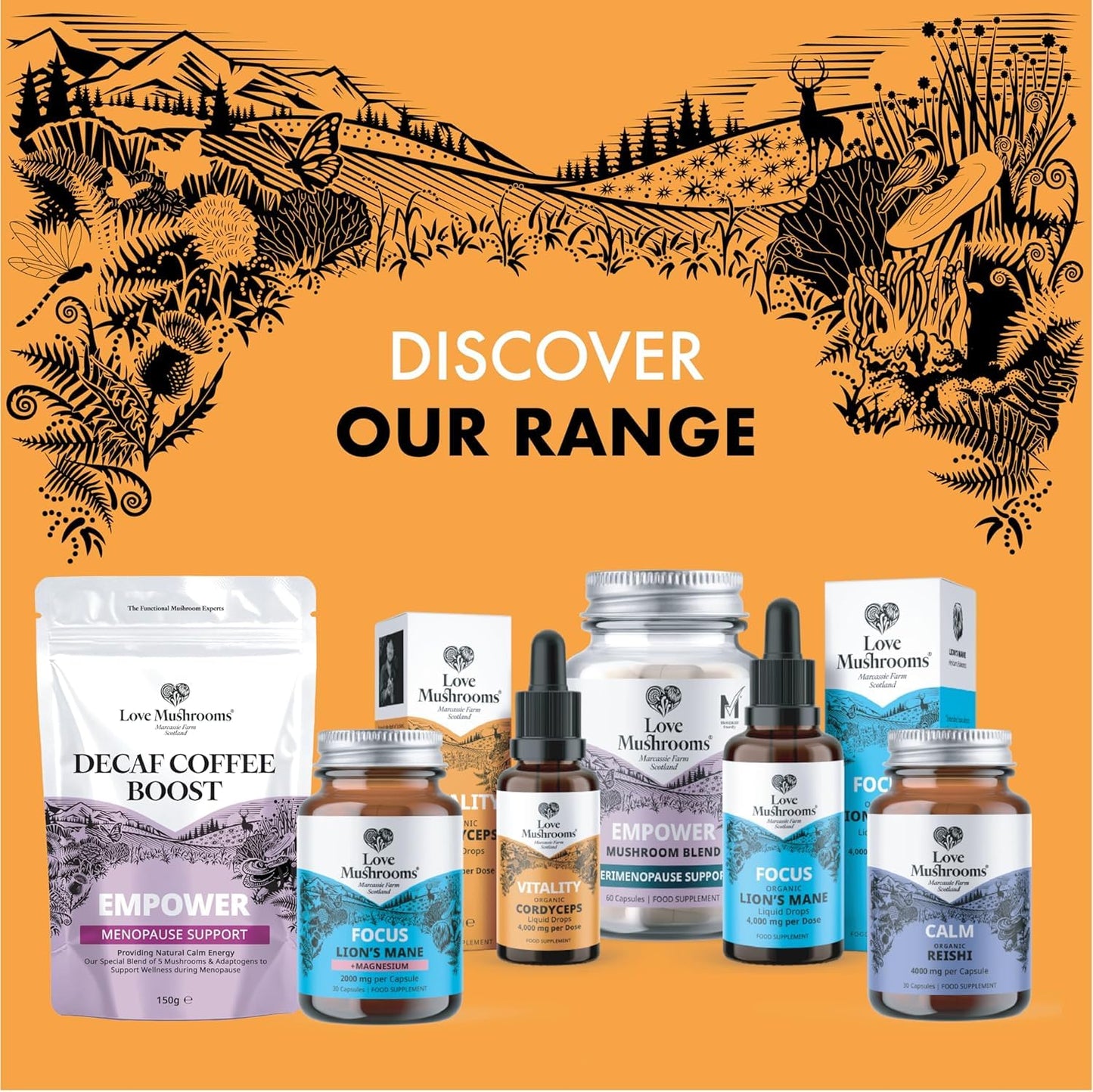Love Mushrooms - Organic Lions Mane Supplement - 4000mg per 1 ml - Liquid Drops for Focus and Memory Support - Vegan and Made in The UK - Mushroom Drops with Sweet Taste - 30ml