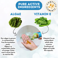 Vegan Omega 3 Algae Oil | Sustainable Algal Alternative to Fish Oil | 60 High Strength Capsules | 400mg DHA Supplement with Vitamin E | Vegetarian Essential Fatty Acids | UK Small Family Company