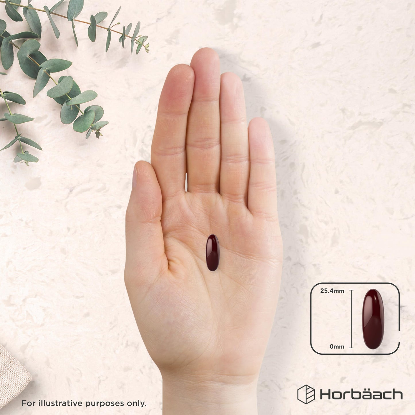 Horbäach Antarctic Krill Oil Capsules 2000mg | 120 Softgels | High Strength Blend with Fish Oil, Astaxanthin, Phospholipids, EPA and DHA | By Horbaach