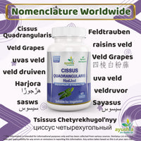 Ayushya Cissus Quadrangularis (Hadjod) Capsule, 60 Capsules, Natural