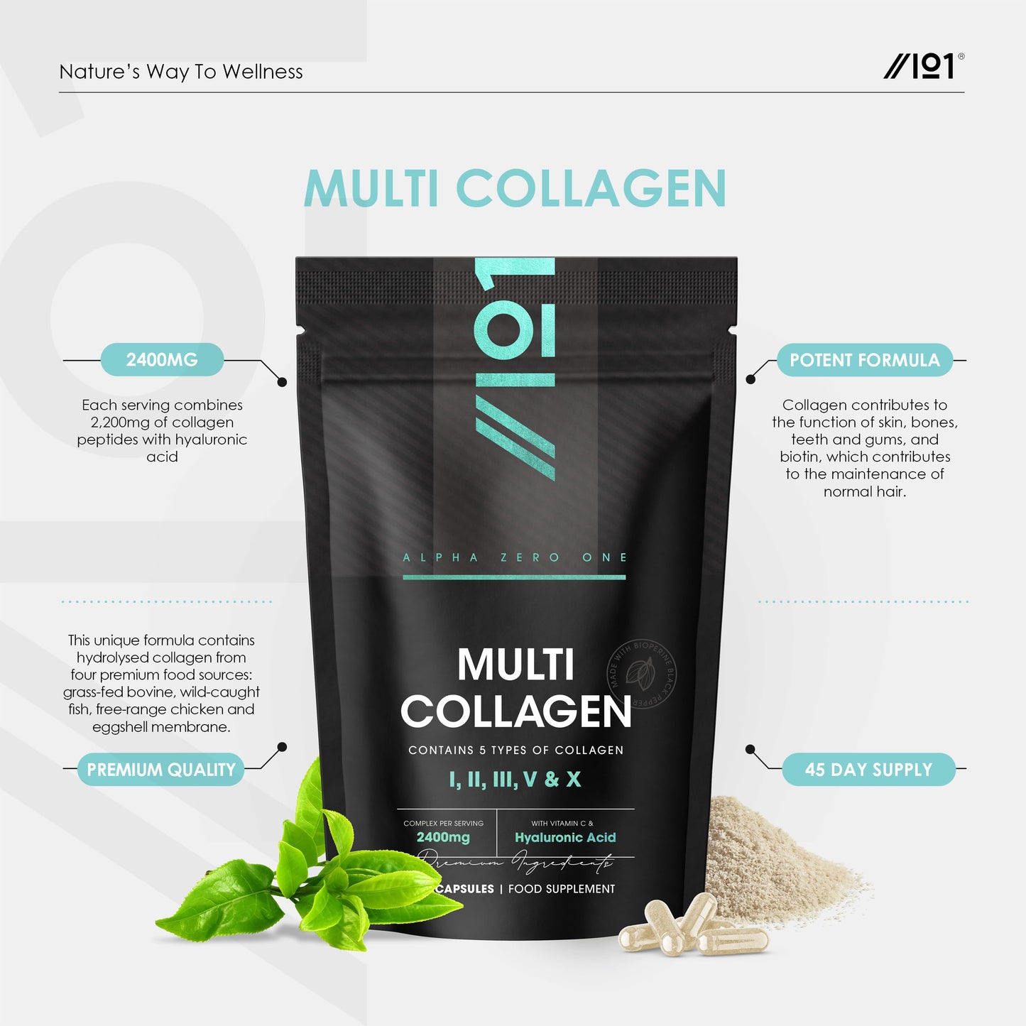 Revive Naturals Multi Collagen 2400mg – Types I, II, III, V & X – 180 Capsules – Wild Caught Marine, Grass Fed Bovine, Eggshell & Free-Range Chicken Collagen Powder, with Hyaluronic Acid & Vitamin C – by Alpha01