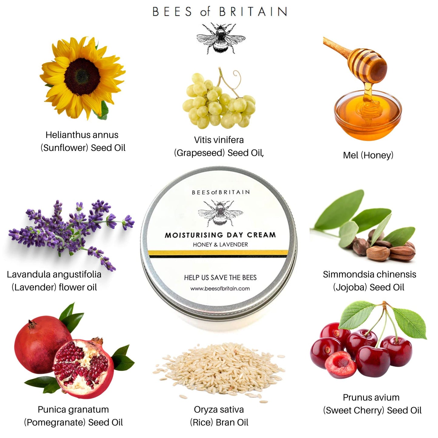 BEES of BRITAIN - 99% Natural Rich Day Cream - Honey, Lavender. Soothe, Nourish, Hydrate Dry Skin. pH 5.5, Sensitive Skin. We Donate 5% of our Profit to Save Bees + Pollinators.100g