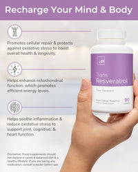 vP Vitality Pro Trans Resveratrol Supplements, 90 Capsules - 500 milligrams Pure Trans Resveratrol Powder for Vitality & Immunity Support - Vegan Dietary Supplements