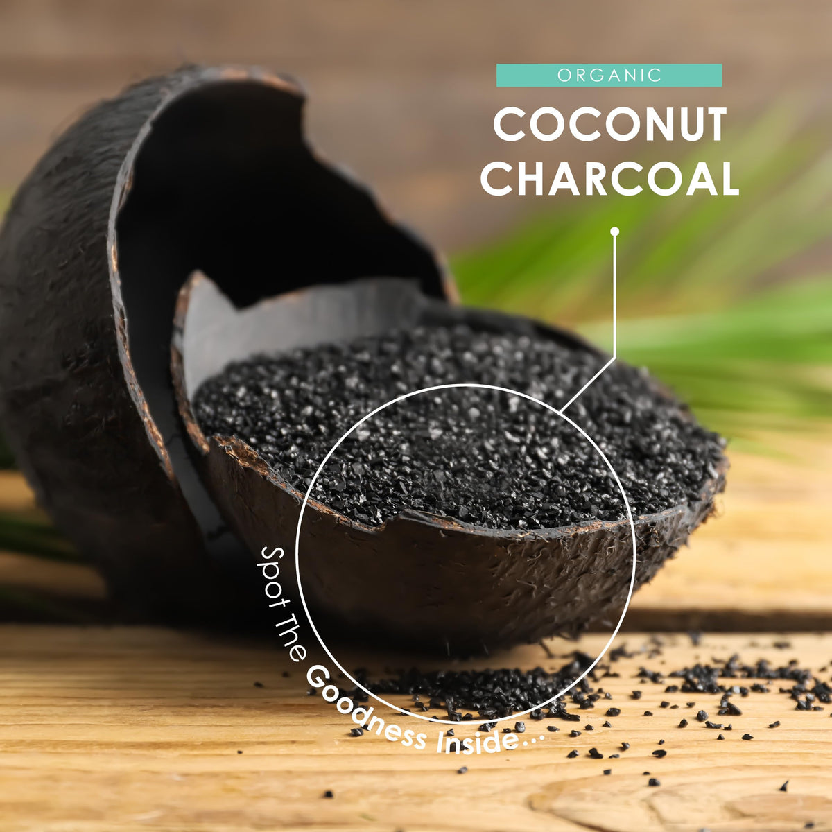 ALPHA01 Organic Activated Coconut Charcoal 2000mg – 90 Vegan Capsules – Bloating & Gas, Digestion & Flatulence Natural Relief – Resealable and Recyclable Pouch by Alpha01