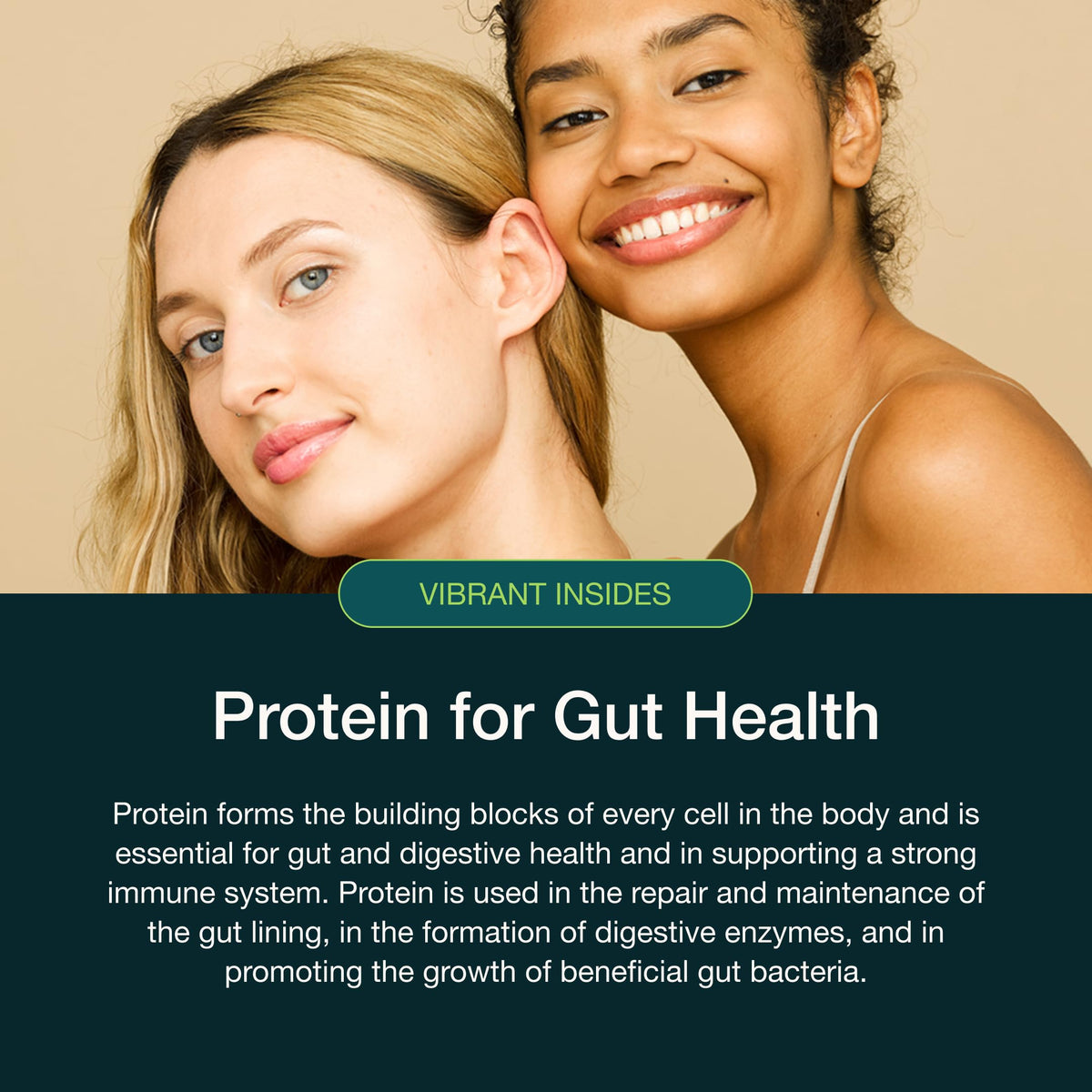Nuzest Protein Plus | Vibrant Insides | Vanilla | Gut Health, Digestion and Immune Support | Vitamins and Minerals | 250g (10 Servings)