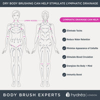 Hydrea London Dry Body Brush - Premium Exfoliating Cactus Bristle Skin Scrubber, Vegan Cellulite Remover for Lymphatic Drainage, FSC® Certified Beechwood