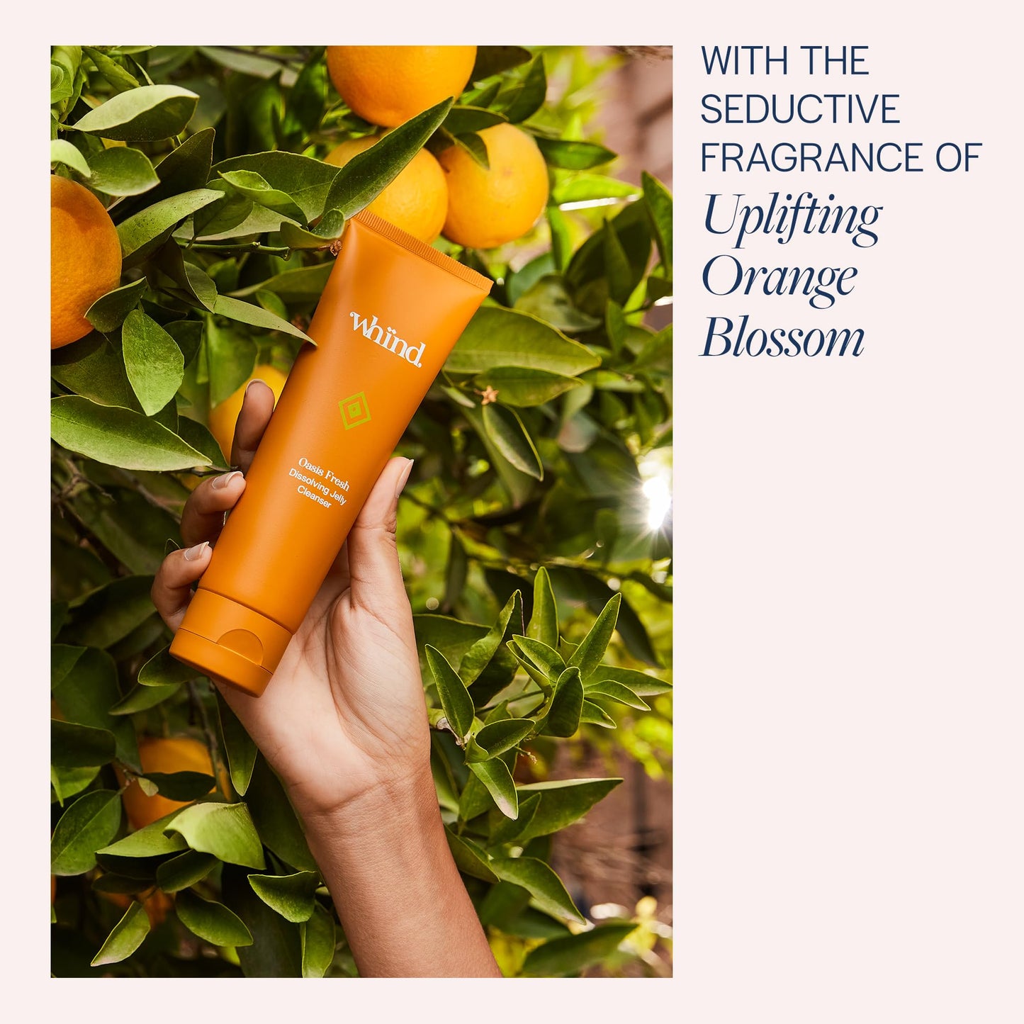 Whind whind Facial Cleanser - Oasis Fresh Vitamin C Face Cleanser with Niacinamide to Hydrate, Brighten and Remove Make Up. Moisturizing Face Wash for Women. All Skin Types, 120ml