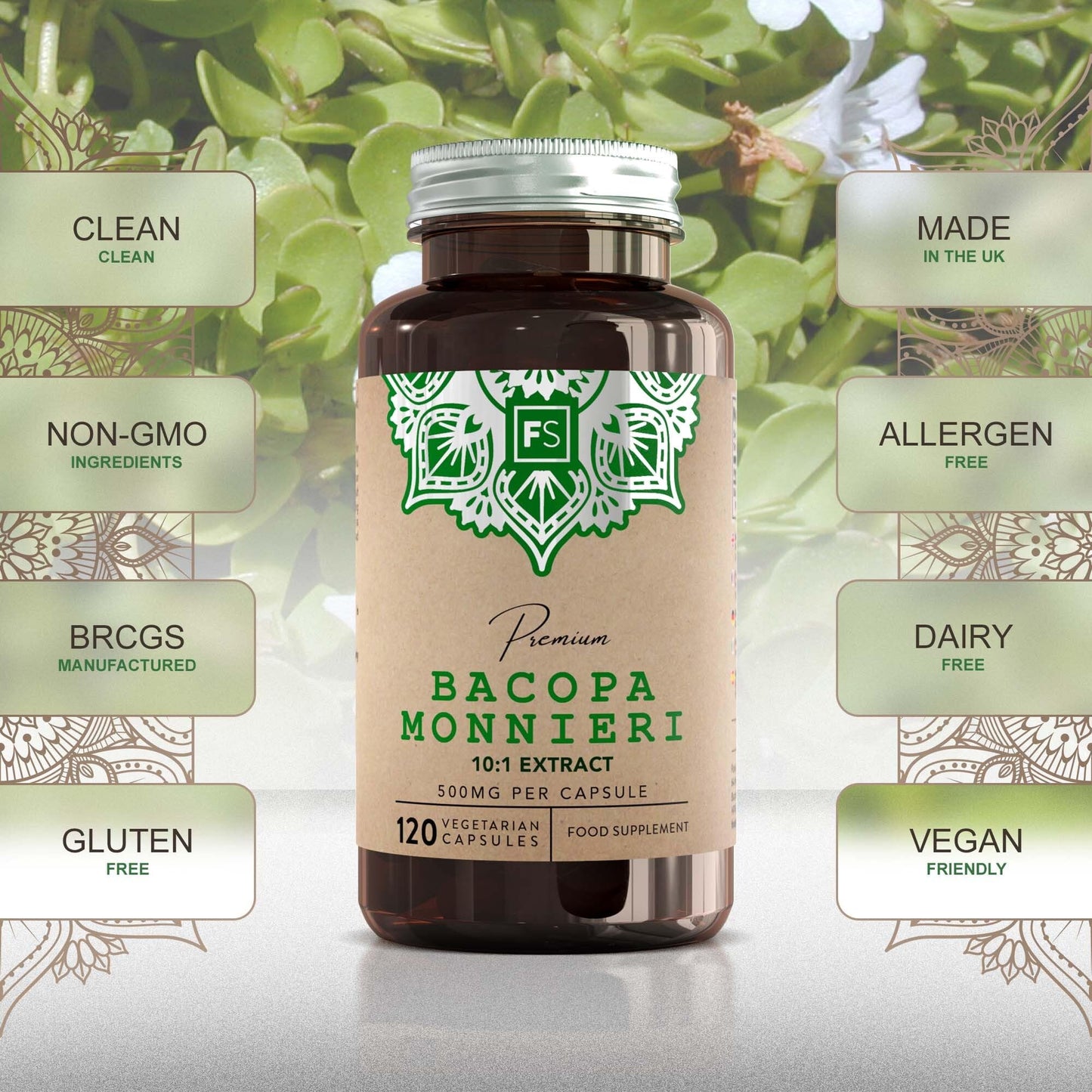 Focus FS Bacopa Monnieri | 120 Brahmi Capsules - 500mg Bacopa Per Serving | Vegan Brahmi Powder Monnieri Capsules | Non-GMO, Gluten & Allergen Free | Manufactured in The UK