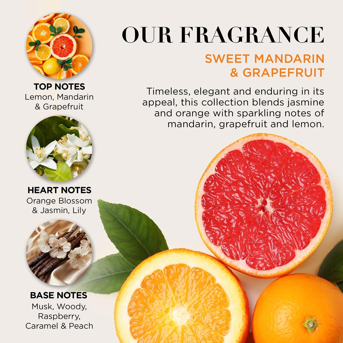 Baylis & Harding Sweet Mandarin & Grapefruit Luxury Pamper Tin Gift Set - Vegan Friendly (Pack of 1)