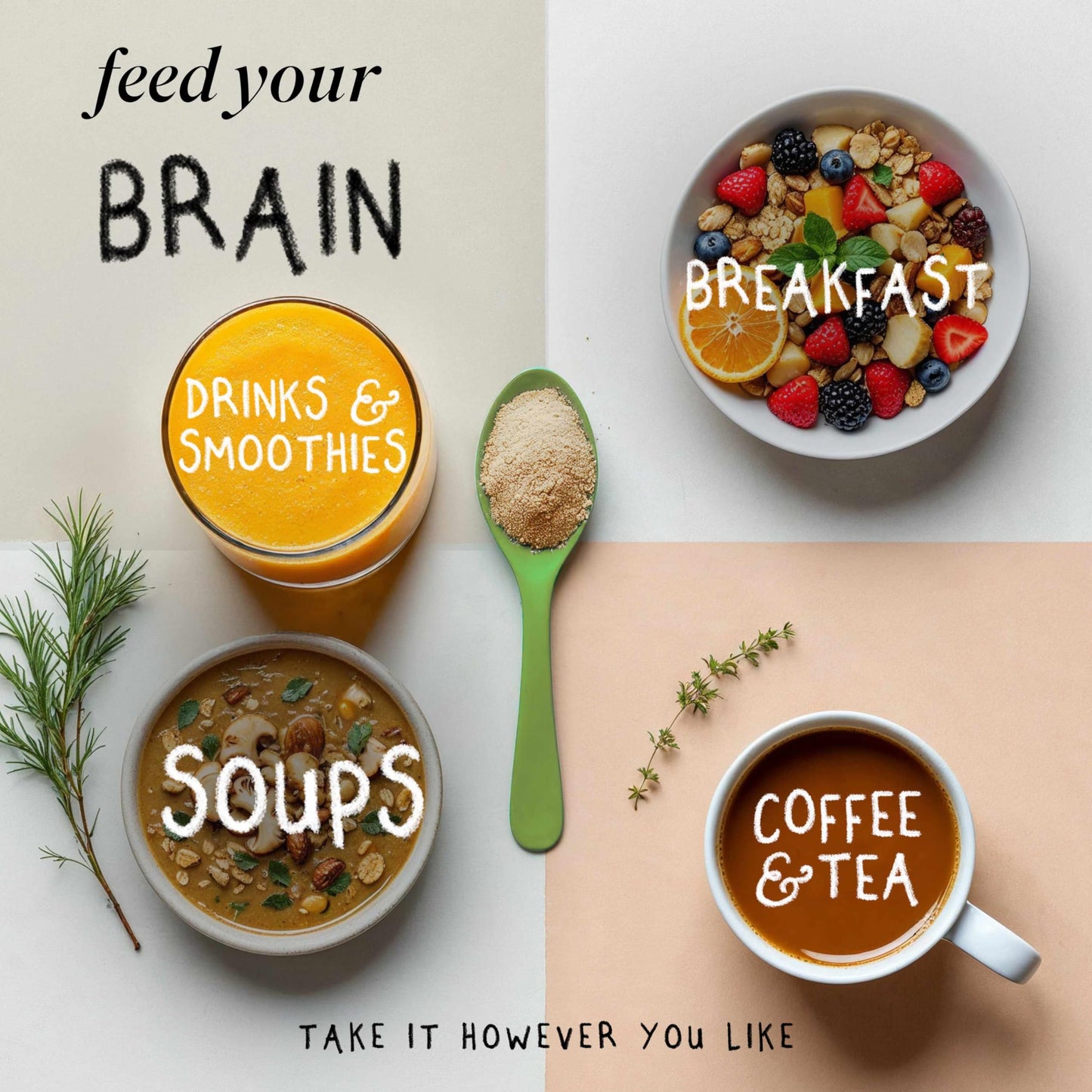 Grass & Co. | Focus Lion’s Mane Nootropic Powder | 2000mg Lion’s Mane, 1000mg Ginseng & Vegan Omega-3 | Brain Boost, Memory & Caffeine-Free Alertness | 46 Servings