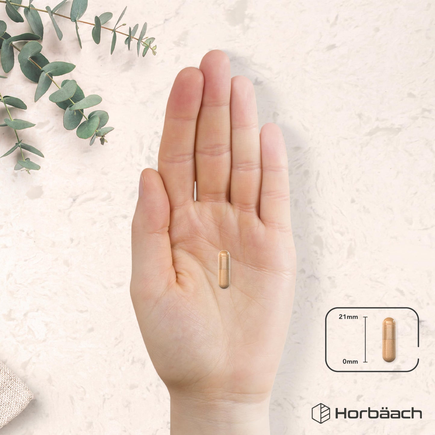 Horbäach Green Tea Capsules 12,480mg | High Strength Green Tea Extract | Contains Polyphenols | 120 Powder Capsules | Vegan | by Horbaach