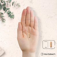 Horbäach Green Tea Capsules 12,480mg | High Strength Green Tea Extract | Contains Polyphenols | 120 Powder Capsules | Vegan | by Horbaach