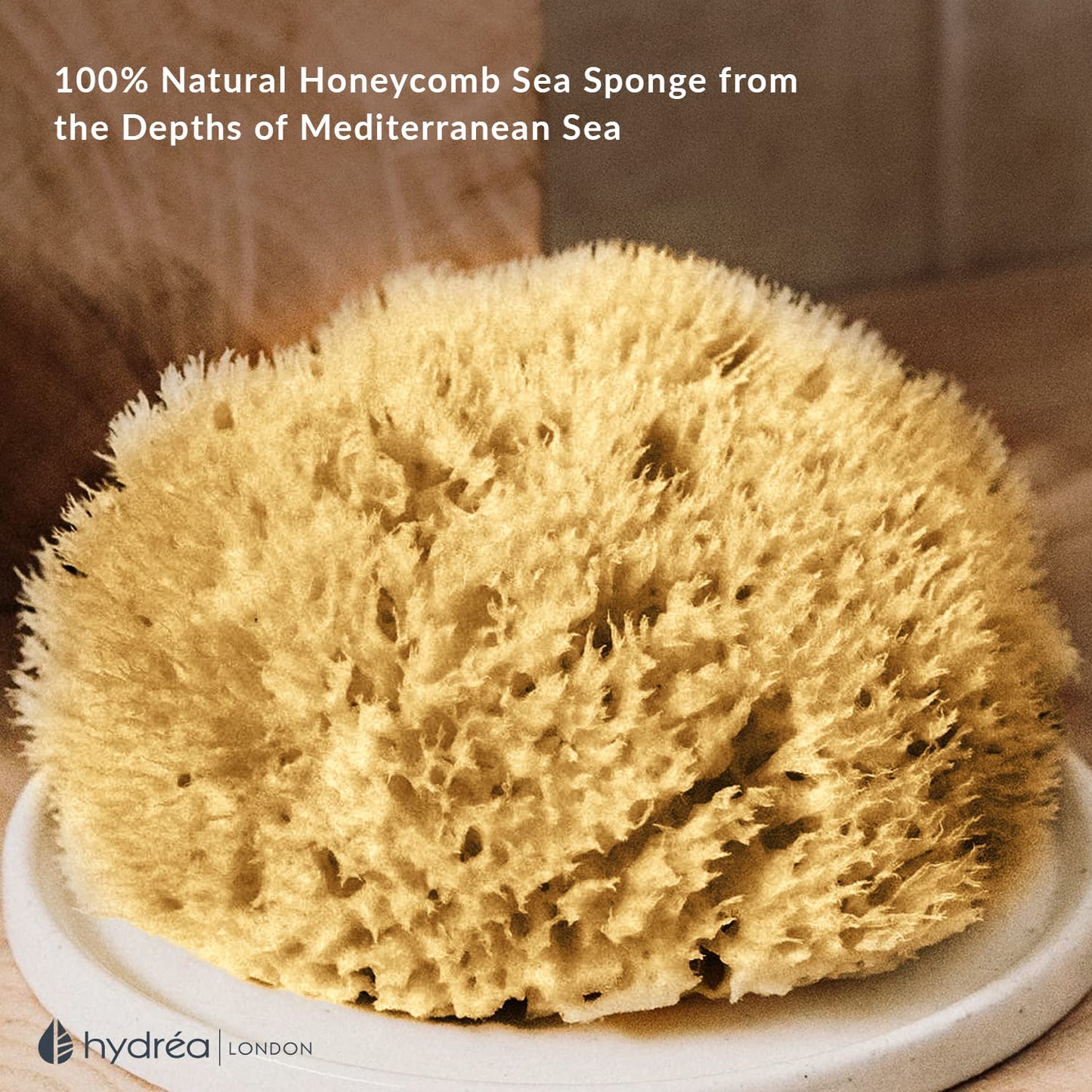 Hydréa London Hydrea London Natural Sea Sponge 5.5 - 6"- Premium Mediterranean Honeycomb Unbleached Natural Sponge for Bath and Shower for Adults, Women, Men Children and Baby