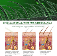 EveBeaty 60ML Pure Rosemary Essential Oil for Hair Growth