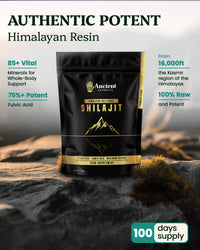 Ancient Extracts Shilajit Powder | Gold Grade – 75% Fulvic Acid | Energy, Focus, Recovery & Hormone Support | 85+ Trace Minerals | Tested for Purity & Safety | Sourced in the Kashmir Himalayas (50g)