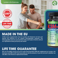 LONDON LIFE SCIENCES London Life Sciences® Organic Vegan Ashwagandha KSM-66® 90 Capsules - (Highest Concentration) 2000mg Servings & 5% Withanolides - Best Bioavailability Enhanced KSM 66 + Withania Somnifera (Made in UK)