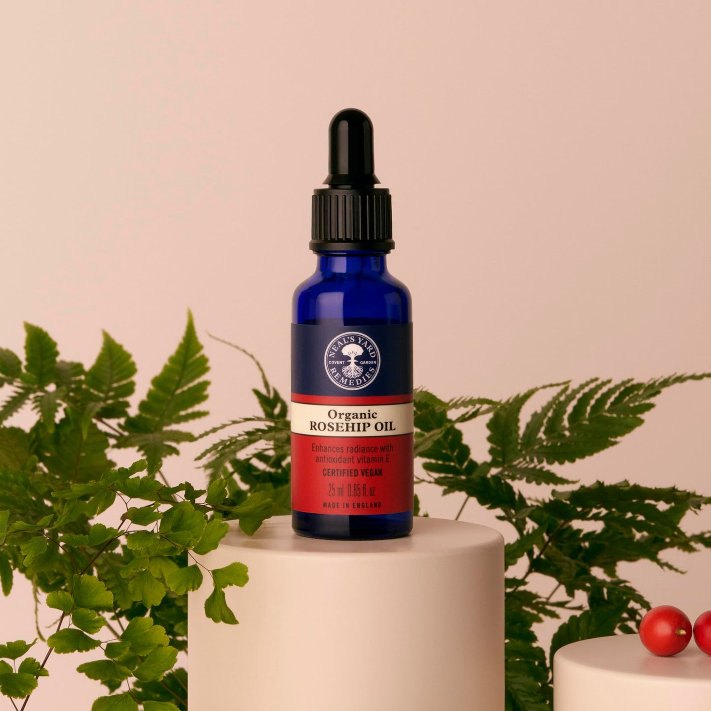 Neal's Yard Remedies Rosehip Oil, Rejuvenating & Nourishing Face Oil With Protective Vitamin E, Cruelty-Free, 25ml