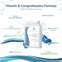 Xspan Labs Vitamin B Comprehensive Formula - 90 Capsules - Superior Methylated Formula with Added Choline, PABA & Inositol - Includes Essential Multi B-Vitamins B1, B2, B3, B5, B6, B12, Biotin & Folate