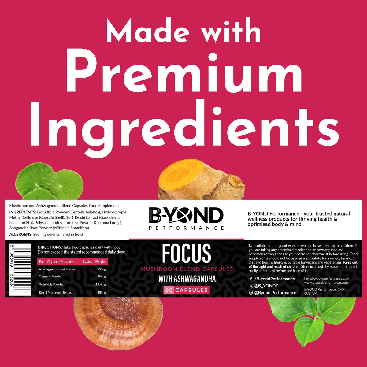 B-YOND Performance Mushroom Complex Supplement for Focus - Premium Brain Supplement with Ashwagandha, Turmeric, Reishi, & Gotu Kola for Focus & Memory Support - for Women & Men by B-Yond Performance, 60 Capsules