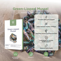 Healthspan Green-Lipped Mussel 500mg (120 Capsules) | for Bone & Cartilage Support | Added Vitamin C | Responsibly Sourced