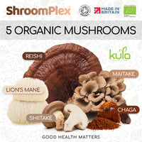 Kula Nutrition ShroomPlex Organic Mushroom Complex - Immune Boosting Mushroom Blend - 90 High Strength Vegan Capsules with Lions Mane, Shiitake, Chaga, Maitake and Reishi - Plus Organic Black Pepper & Vitamin C
