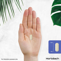Horbäach Teen Multivitamin | 120 Vegan Tablets | One-a-Day Formula | 28 Nutrients with Biotin, Folic Acid, Iron, Vitamin C & B6 | Multivitamin Support for Teenage Boys & Girls | By Horbaach