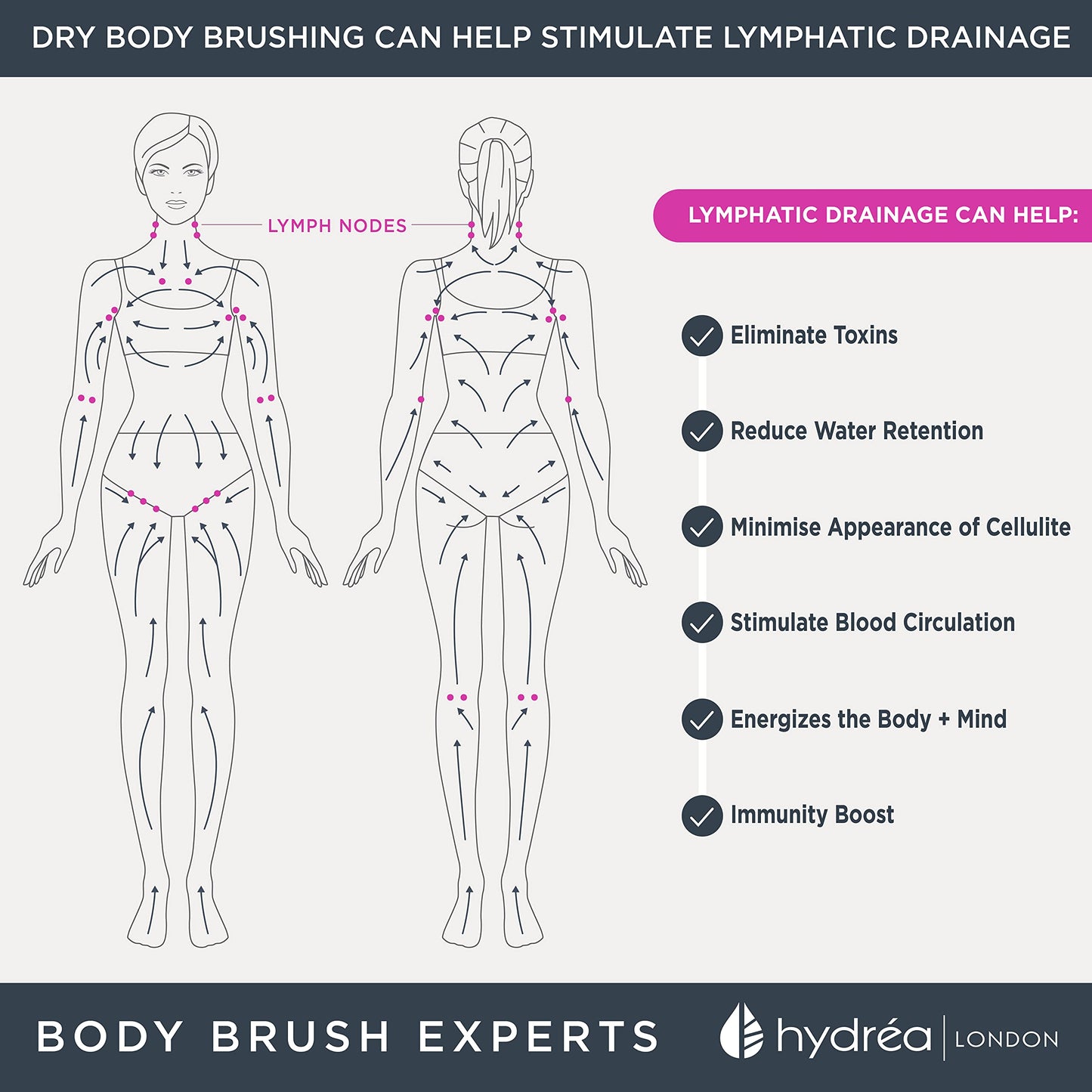 Hydrea London Dry Body Brush Vegan – Premium Exfoliating Skin Brush with Extra Long Cactus Bristle, Dry Brush Cellulite Remover, Exfoliating Body Scrubber, FSC® Certified Beechwood.