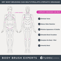 Hydrea London Dry Body Brush Vegan – Premium Exfoliating Skin Brush with Extra Long Cactus Bristle, Dry Brush Cellulite Remover, Exfoliating Body Scrubber, FSC® Certified Beechwood.