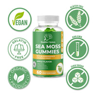 Healthier Options Irish Sea Moss Gummies with Bladderwrack & Burdock Root 5680 Mg | 60 Gummies | Apple Flavour | Vitamins & Minerals | Organic, Natural, Vegan, Gluten Free, Non GMO, High Strength