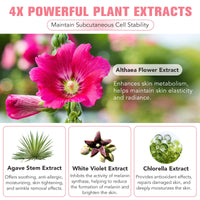 Collagen Night Wrapping Mask 75ml, Collagen Face Mask, Overnight Sleeping Mask with Hydrolysed Elasticity Visible Improved, for Dry & Dehydrated Skin, Reduce Skin Sagging & Dullness