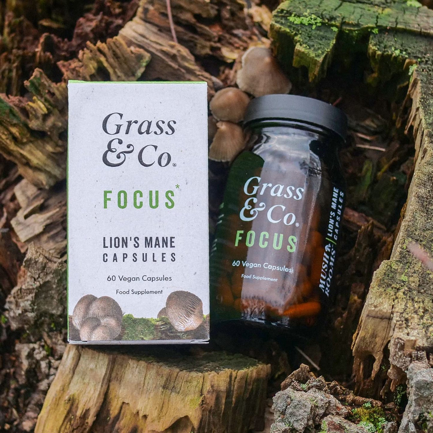 Grass & Co | FOCUS Lion's Mane Mushroom Capsules | Supports Cognitive Health | 60 Capsules | 30 Servings | Lion's Mane Extract, Ginseng, Omega-3, Vitamins B12 & D