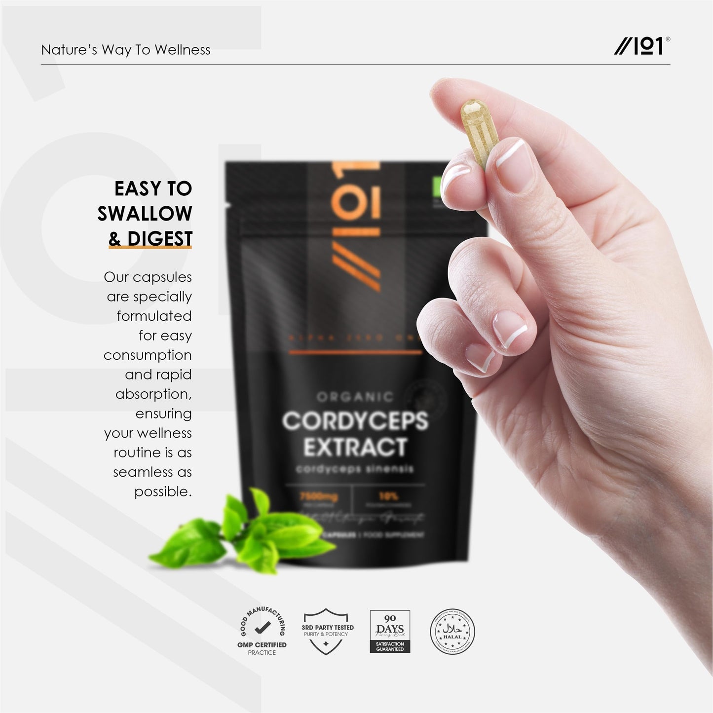 ALPHA01 Organic Cordyceps Mushroom Extract 7500mg – High Strength Polysaccharides Supplement – 90 Vegan Capsules (3 Months Supply) – Resealable and Recyclable Pouch – By Alpha01