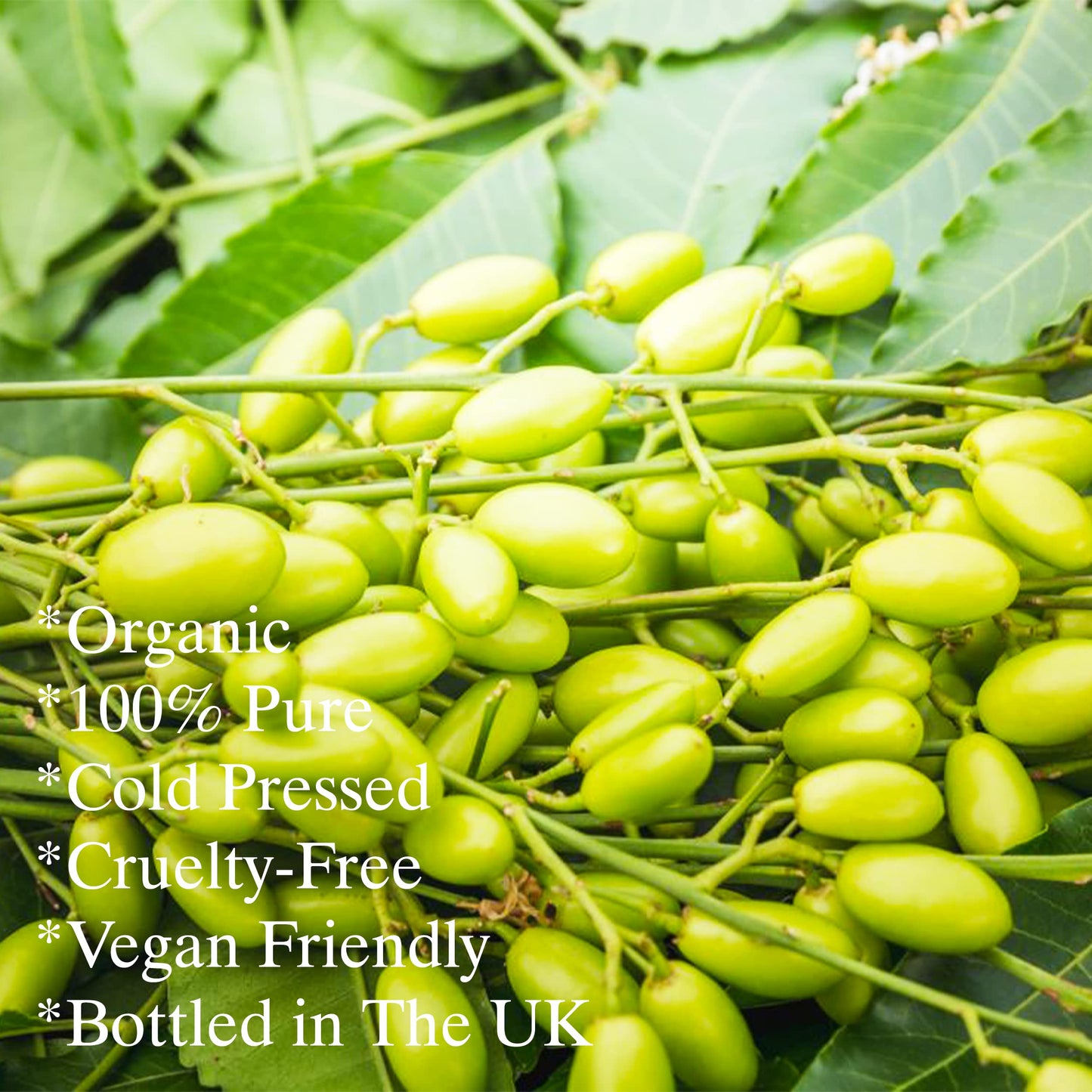 Feelia - Organic Neem Oil - Cold pressed, Rich in Vitamin E & Antioxidants, Repairs & Nourish, 100% Pure & Organic - 100ml