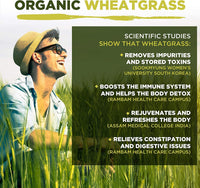 Wheatgrass Capsules | Organic | 1500mg per Serving | 180 Capsules | High Chlorophyll Content | MySuperfoods
