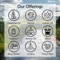 DEVPRAYAG Devprayag Pure Mustard Oil (Brassica juncea) Natural Therapeutic Grade Cold Pressed (Pack of Two) 100ml x 2 (6.76 oz)