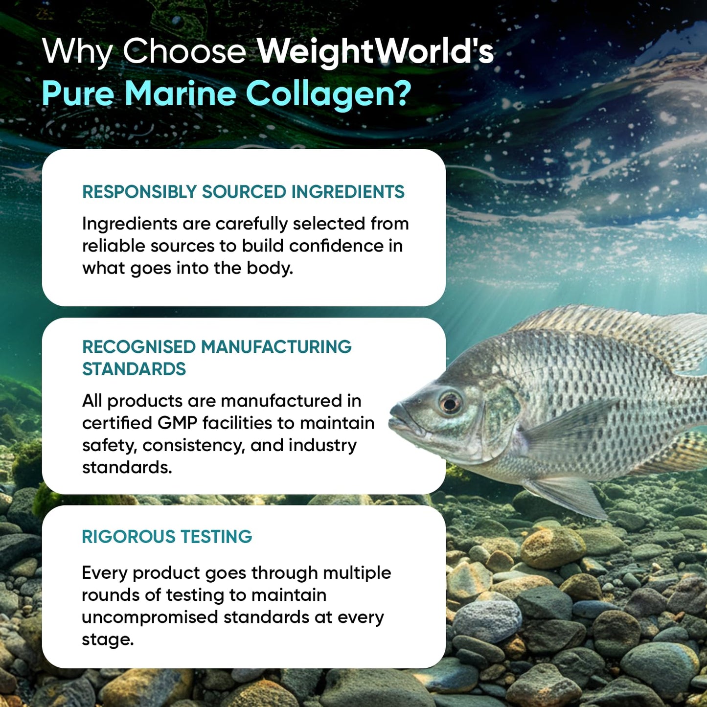 WeightWorld Pure Marine Collagen Supplements for Women & Men - 120 Capsules - 1200mg Per Serving - 2 Months Supply- Highly Bioavailable Type 1 & 3 Hydrolysed Fish Collagen Peptides
