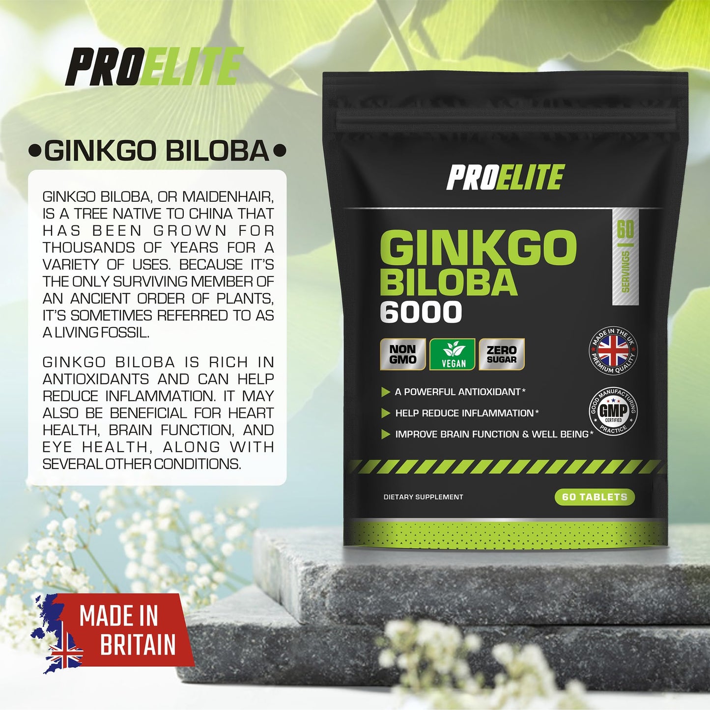 Ginkgo Biloba 6000mg - High Strength Vegan Ginkgo Biloba Leaf Extract 60 Tablets 50:1 Extract � Gluten Free, GMO Free - Made in UK by PROELITE