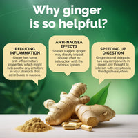 CONCEIVE PLUS Conceive Plus Morning Sickness Relief - Pure Dried Ginger Powder - Nausea, Motion, and Stomach Discomfort Relief for Pregnancy - Essential for Expecting Moms - Non-GMO - 60 Vegan Capsules