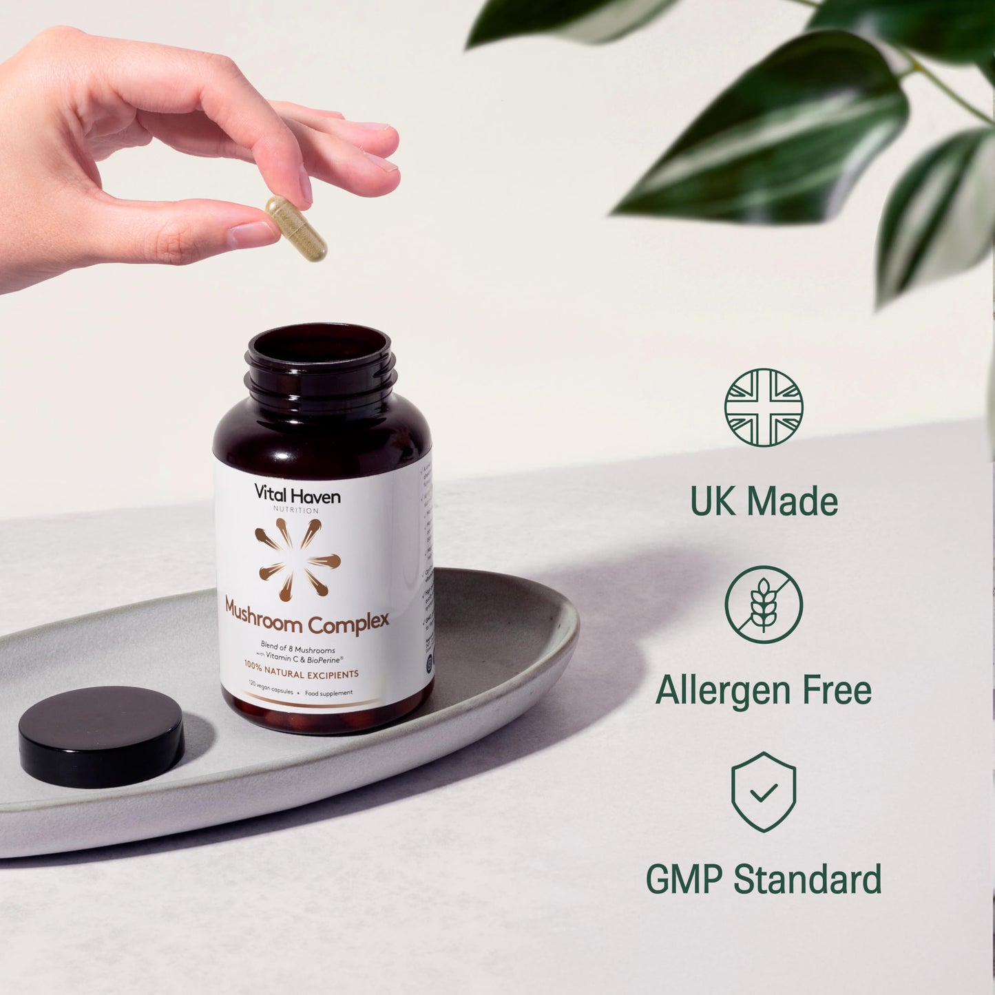Vital Haven - Mushroom Supplement - Lions Mane, Reishi, Cordyceps, Shiitake, Maitake, Chaga, Agaricus Blazei, Tremella with VIT C - UK Made
