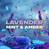 Lynx Fine Fragrance Collection Blue Lavender Premium Body Wash Body Cleanser shower gel with a lavender, mint & amber scent for 12 hours of freshness 400ml