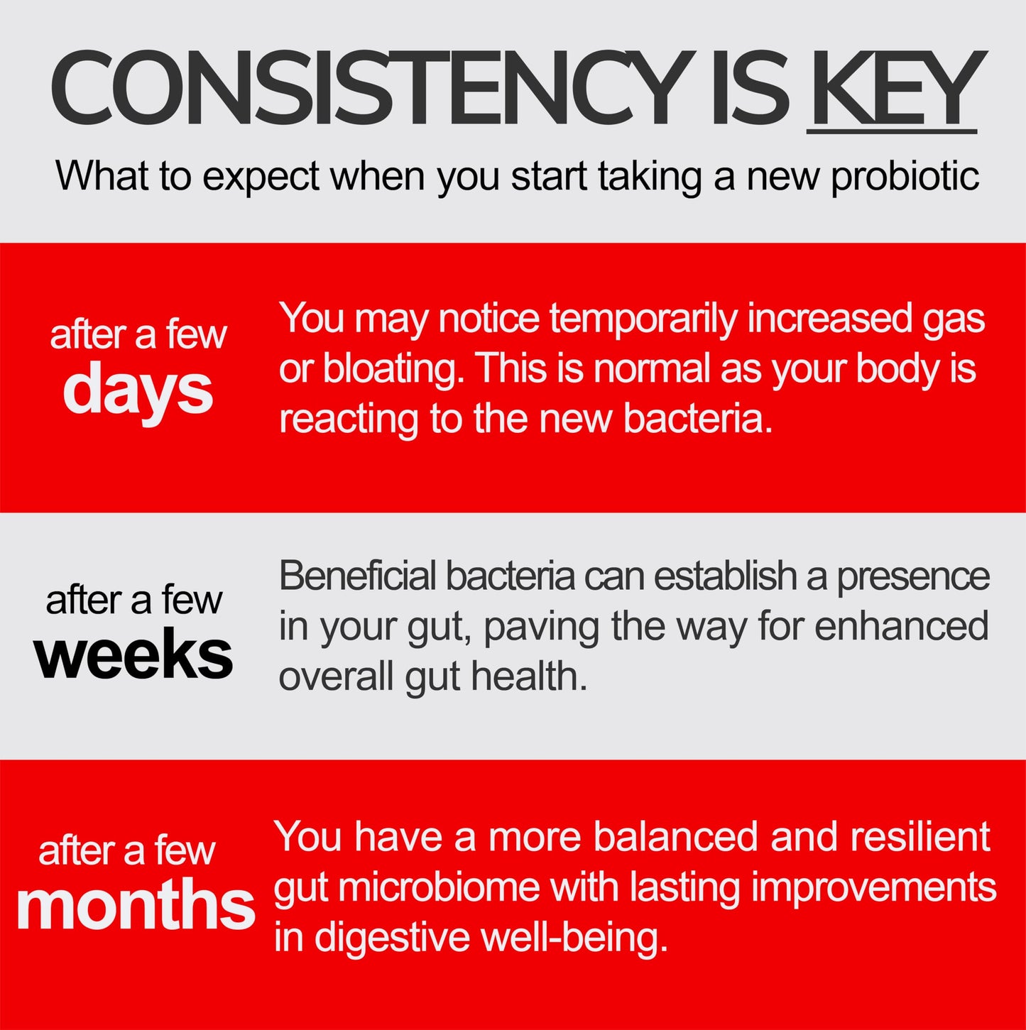 Biostren Probi Iron | 2 in 1 Bio Cultures Complex Plus Iron for Ultimate Gut Health and Hemoglobin Support | Probiotic | Red Blood Cells | Bloat Relief | Digestion | IBS | 60 Capsules